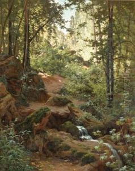 Woodland Interior With Brook - view 1