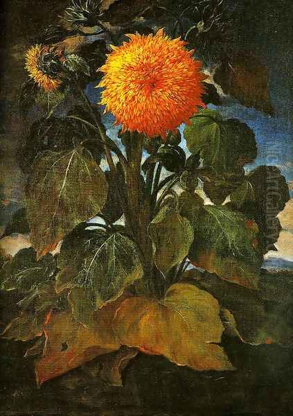 Sunflower - view 1