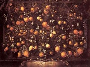 Citrus by Bartolommeo Bimbi