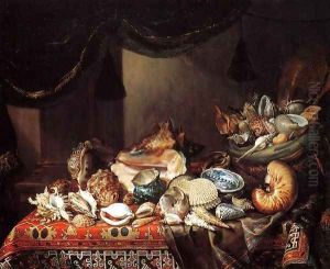 Shells by Bartolommeo Bimbi
