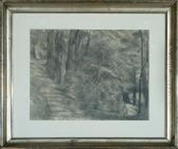 Composition Assignment And Forest Scenery - view 1