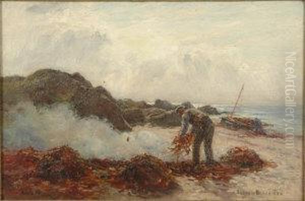 Gathering Kelp - view 1