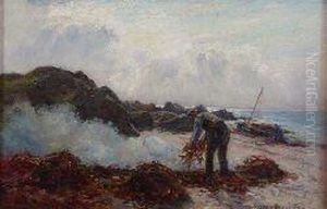 Collecting Seaweed