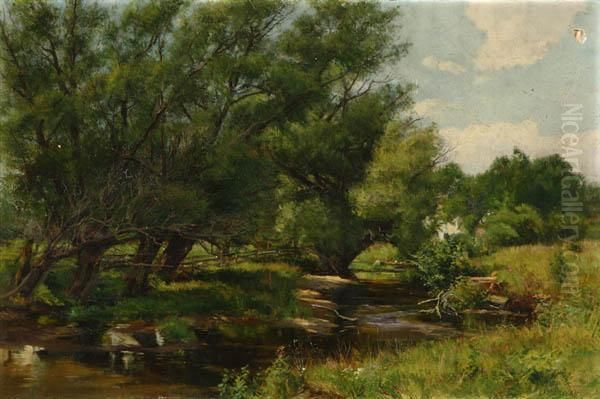 Stream Through A Summer Landscape - view 1
