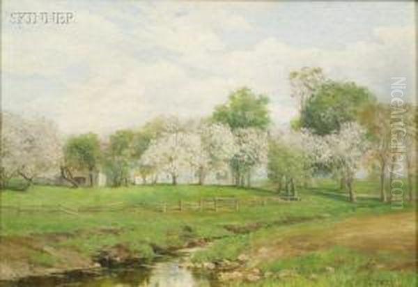 Orchard In Springtime - view 1