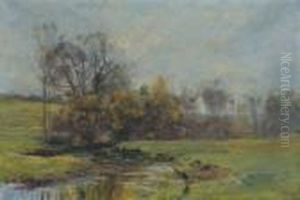 Meandering Stream by Olive Parker Black