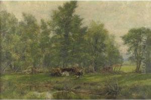 Cattle At Pasture by Olive Parker Black