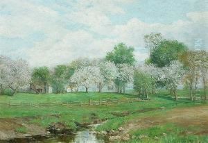 An Orchard In Bloom by Olive Parker Black