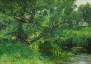 ''where The Trout Hide''