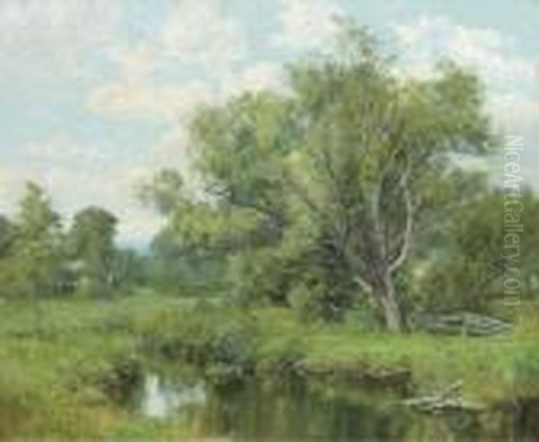 The Summer Pond - view 1