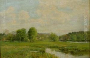 Green Fields Green Fields