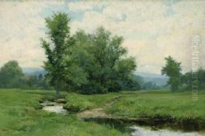 A Summer Day by Olive Parker Black