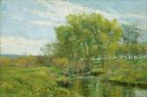Stream In A Summer Landscape