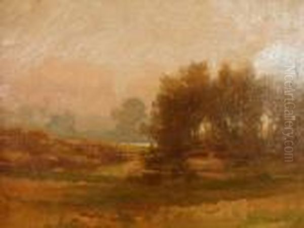 Landscape - view 1