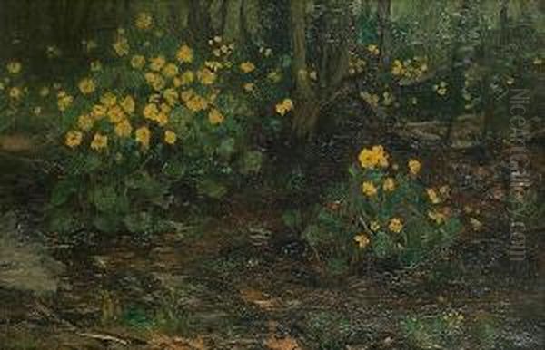 Primroses - view 1