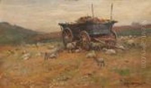 Sheep Beside A Hay Wagon Sheep Beside A Hay Wagon