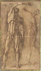 Two studies of an ecorche figure, after Francavilla by Andrea Boscoli