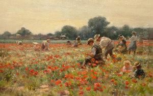 The Harvest Field by William Kay Blacklock