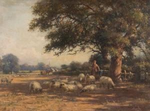 Rural Landscape With Farmer And Sheep thumbnail