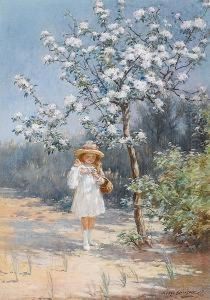 Collecting Blossom