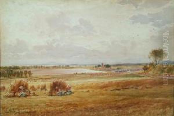 Mid-day Rest, Harvest - view 1