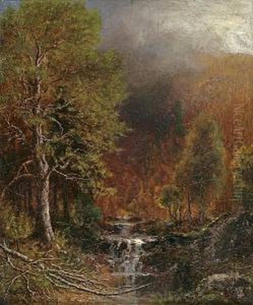 Stream In A Forest - view 1