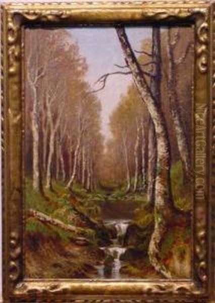 Adirondack Scene - view 1