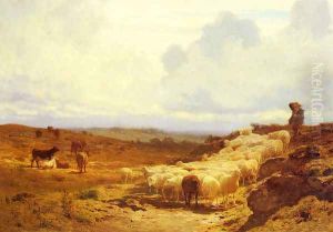 A Shepherd and his Flock