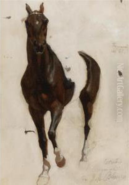 Boceto Para El Caballo De La Revista De Santos - view 1