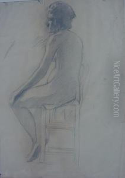 Desnudos - view 1