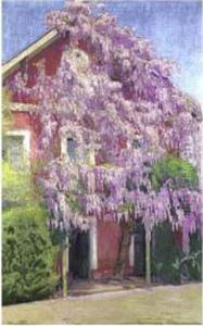 Glicina De La Quinta De Castro by Pedro Blanes Viale