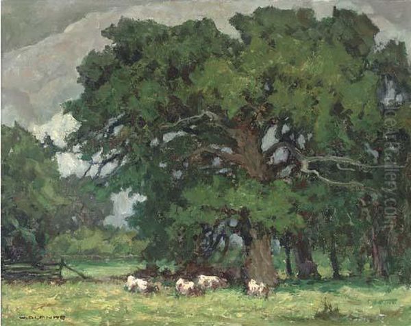 Cattle Grazing In The Shade - view 1