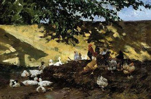 Ducks And Chickens In A Farmyard - view 1