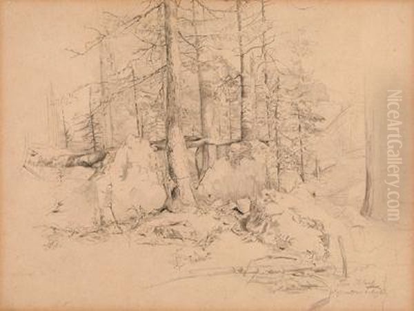 Waldstudie - view 1