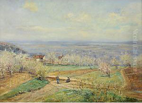 Paesaggio Austriaco - view 1
