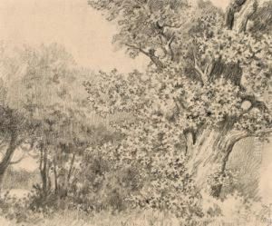Baumgruppe Im Wald by Tina Blau