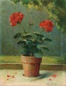 Geranium Geranium