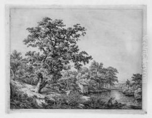 Die Eiche An Der Bretterbude