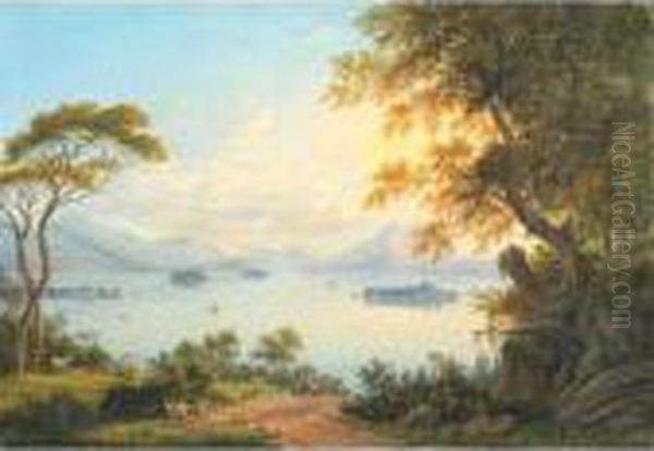 Les Iles Borromees Au Lac Majeur - view 1