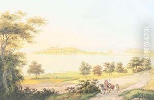 Insel Mainau Im Bodensee - view 1