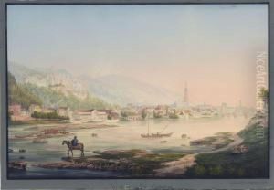 Vue De La Ville De Heidelberg