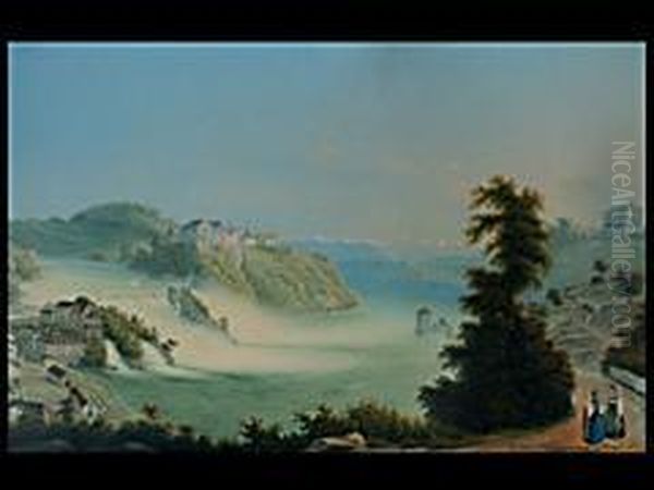 Blick Uber Die Rheinfalle - view 1