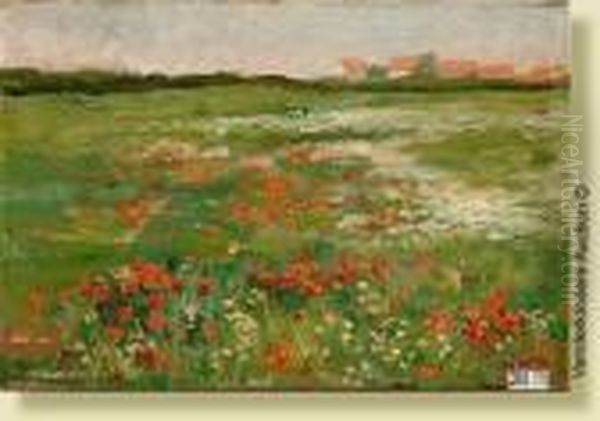 Pre Aux Coquelicots - view 1