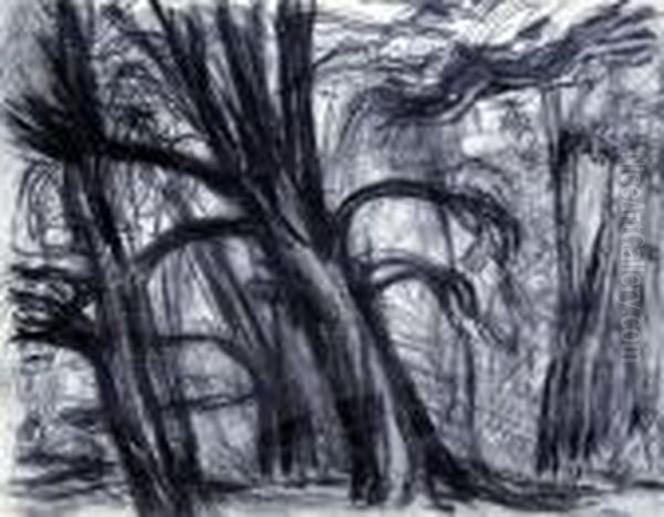Trees - view 1