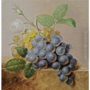 A Still Life With Grapes