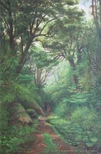 Coromandel Bush Walk by Charles Blomfield