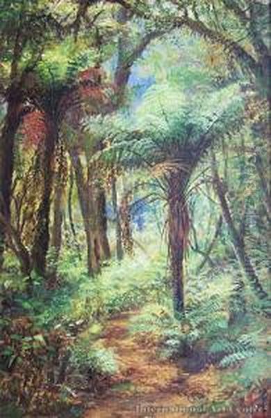 Sunlit Ferns - view 1