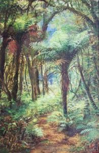 Sunlit Ferns