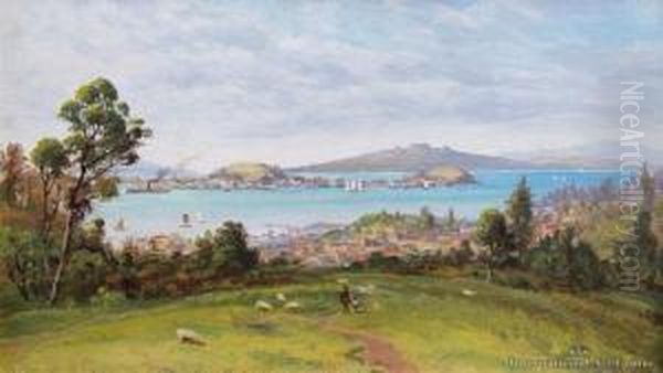 Auckland From Mt Eden - view 1