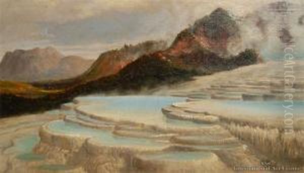 White Terraces - view 1
